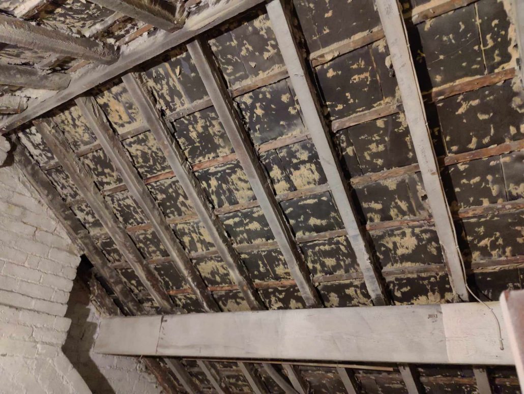 Rafters of a house after cleaning using Polar Blasts services
